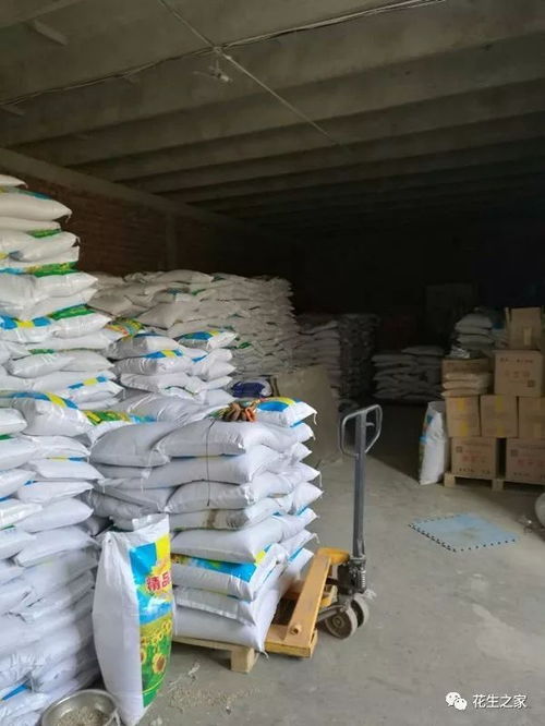 超級供應(yīng)商推薦 河北石家莊博眾農(nóng)產(chǎn)品加工廠 賈永寧