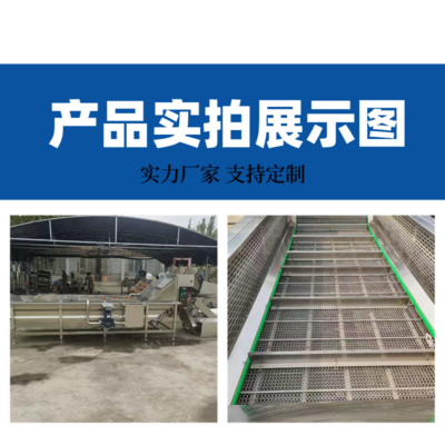 花生毛豆氣泡清洗機(jī) 綠豆黃豆芽清洗去殼機(jī)器 蔬菜加工高壓沖洗機(jī)器