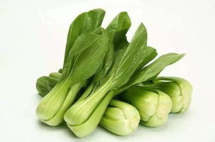 每周快檢 本周,金灣有哪些市場(chǎng)的菜被檢出不合格 趕緊收下這份檢測(cè)報(bào)告