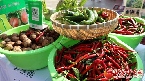 蘭州市西固區(qū)舉辦2024年中國(guó)農(nóng)民豐收節(jié)慶祝活動(dòng)