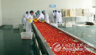 農產品初加工的農產品初加工范圍