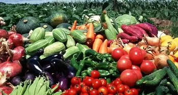 農(nóng)產(chǎn)品地理標(biāo)志助力產(chǎn)業(yè)扶貧 推動(dòng)農(nóng)產(chǎn)品區(qū)域品牌