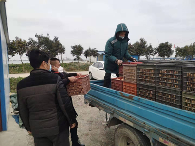 疫情前,農(nóng)副產(chǎn)品&ldquo;大聯(lián)銷&rdquo;助農(nóng)戶&ldquo;產(chǎn)銷無(wú)憂&rdquo;