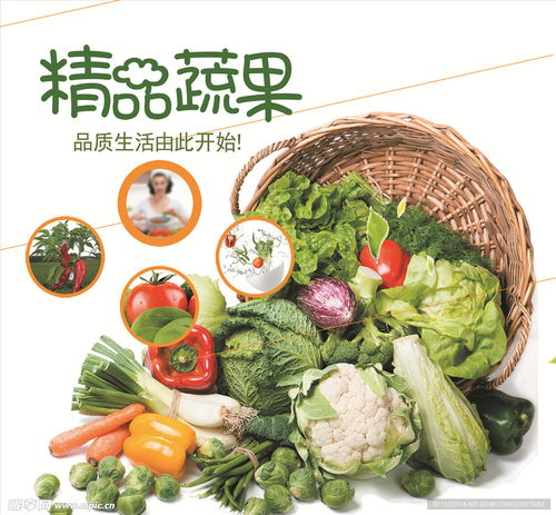 精品蔬菜 新鮮蔬菜 超市海報(bào)設(shè)計(jì)圖 psd分層素材 psd分層素材