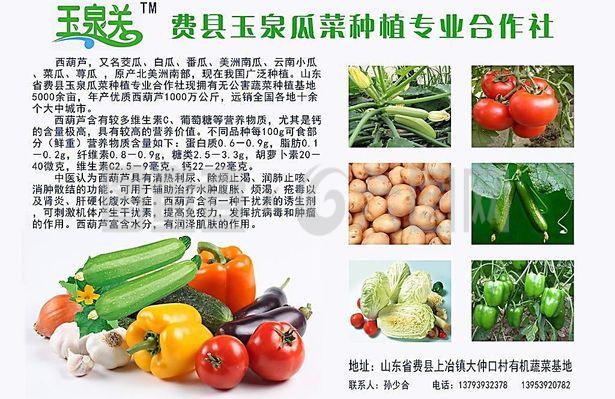 新鮮直達，品質承諾——綠色蔬菜產品宣傳與農副產品收購服務